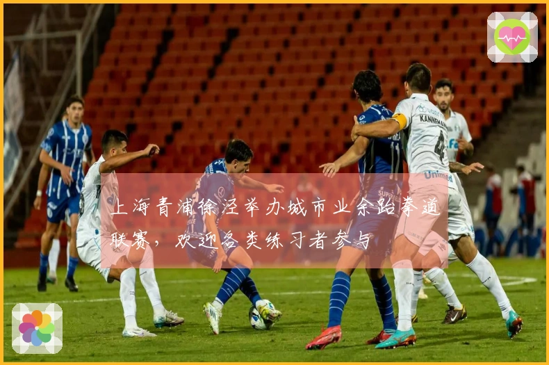 上海青浦徐泾举办城市业余跆拳道联赛，欢迎各类练习者参与