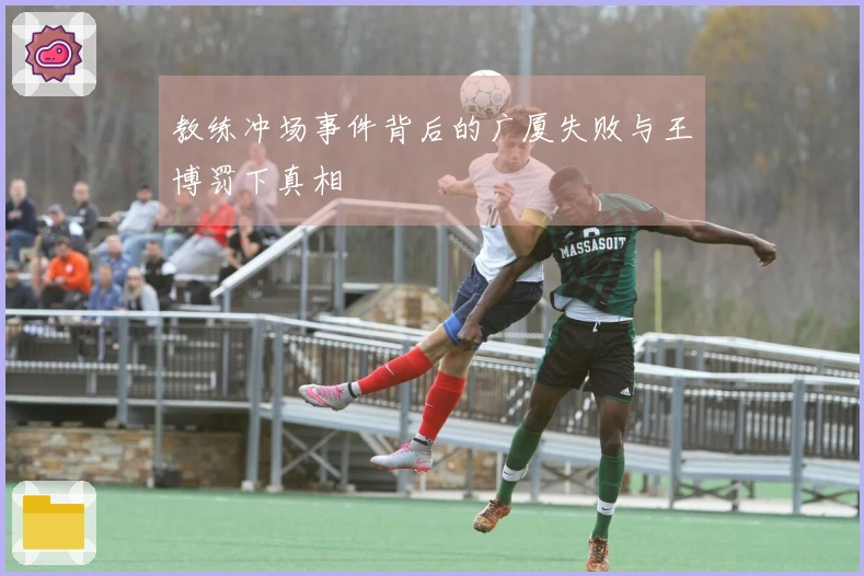 教练冲场事件背后的广厦失败与王博罚下真相